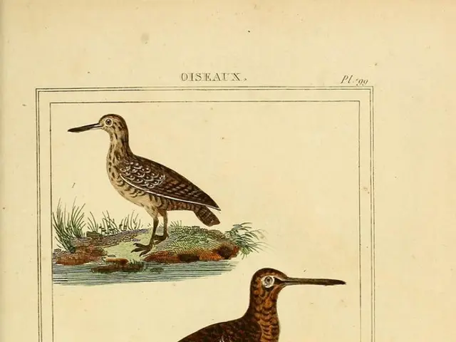 Exploring the Realm of Avian Nutritional Enhancements