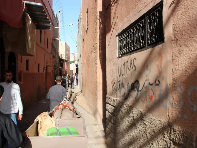 Medical Professional Working Pro Bono