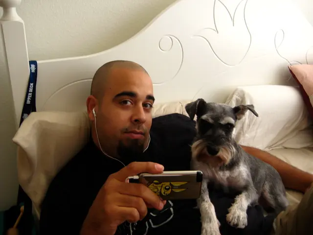 Sleep Aids: Essential Tools for Peaceful Slumber without a Struggle