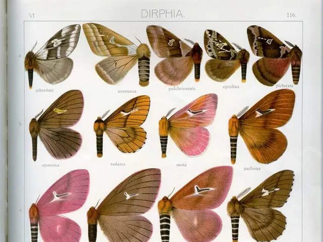 Psychologist-led guide on managing anxiety: Key concerns about persistent worrying clarified