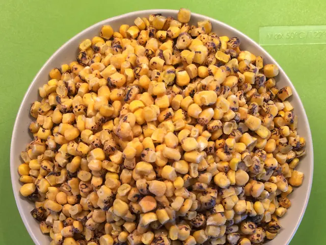 America's dependence on corn syrup originated through deception