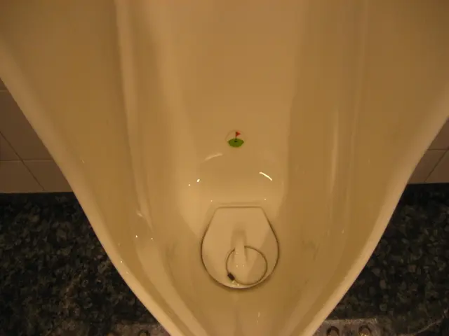 Link Between Perimenopause and Overactive Bladder, along with Treatment Options