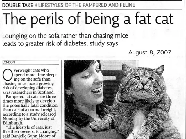 Veterans Affairs Department to discontinue specific abortion care for military veterans