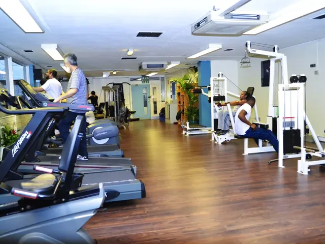 Bronx Science Health and Fitness Club: An Examination of its Health and Sports-Related Activities