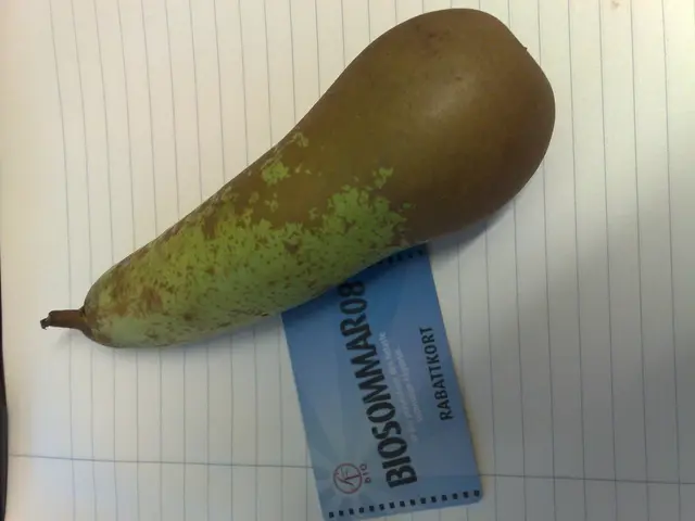 Understanding Pseudogout: Identification, Signs, Remedies, and Additional Information