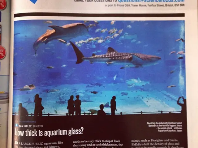 Environmental authorities, led by the National Environmental Protection Agency, and a team of...