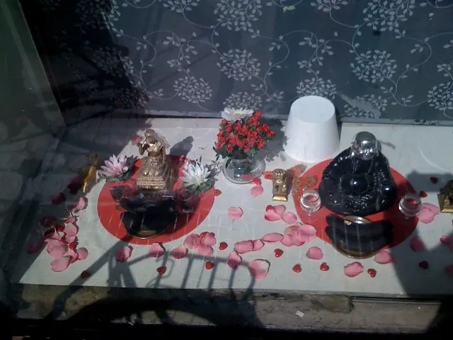 A question about the essence of a Shadow, a phenomenon often associated with the vague and dim area...