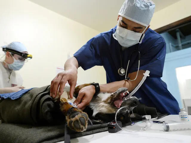 Guide to Surgical Solutions for Chronic Dry Eye Discomfort