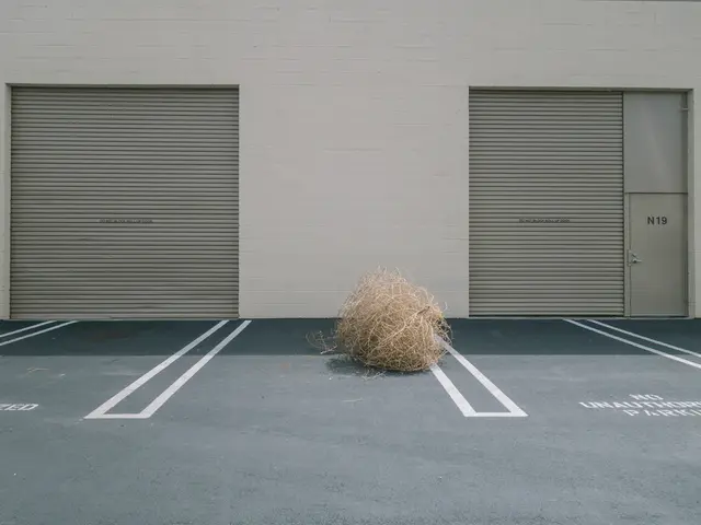 Health Tip Debate: Fibermaxxing - Is It a Legitimate Approach to Better Health or Just a Gateway to...