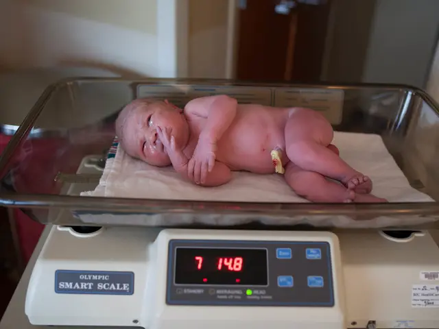 Beyond Breastfeeding: Exploring Alternative Newborn Feeding Options