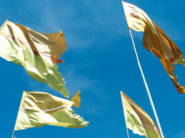 Brain cells called astrocytes play a crucial role in governing stress responses