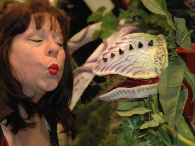 Impact of Sinus Issues on Sexual Experiences - Strategies for Coping