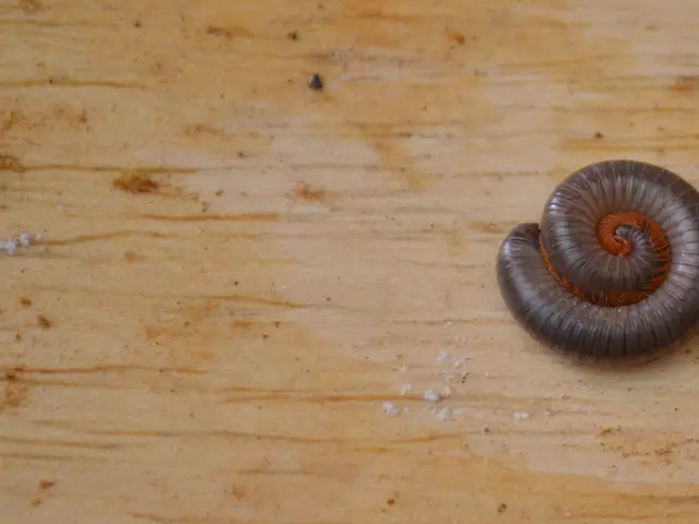 Surgical Treatments for Erectile Dysfunction: Results and Details