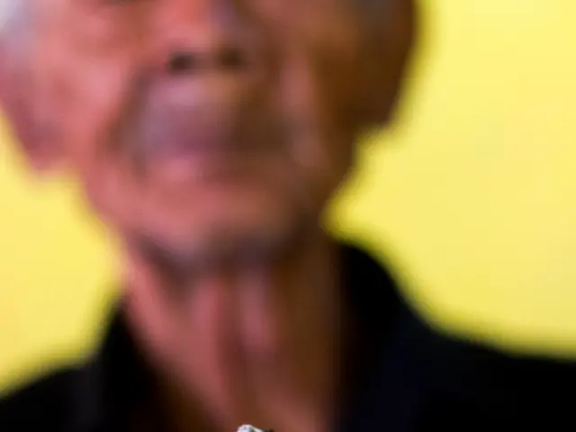 Impacts of Smoking on One's Appearance: Focus on Skin and Additional Effects