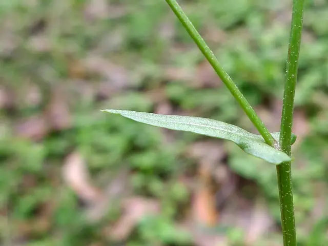 Breakthrough in stem cell technology: Mass production almost within reach, signaling a significant...