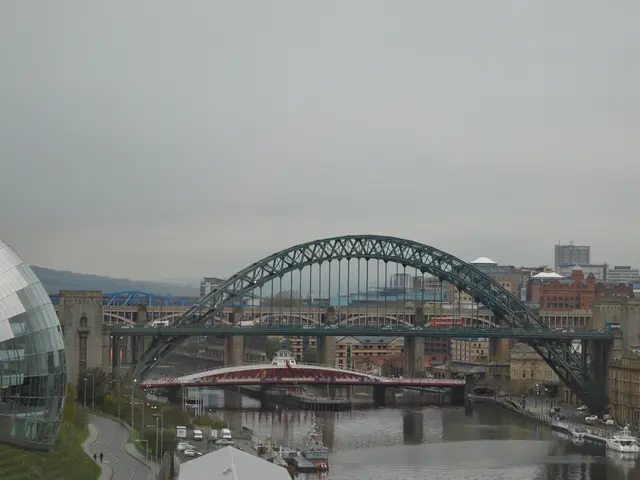 International authorities and non-governmental organizations collaborate to bolster the resistance...