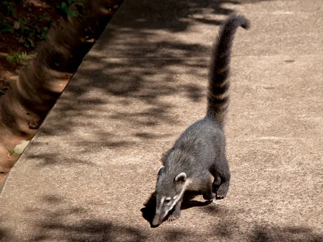 Signs to Watch Out For: Early Indications of Stomach Malignancy