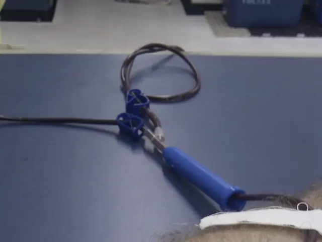 Medical Examination: Kidney Biopsy Process, Outcomes, and Potential Hazards