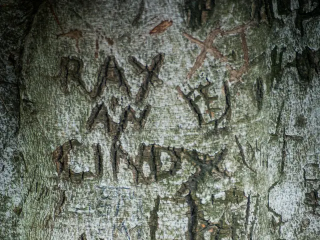 Governing body HP pushes for individual e-way bill to track illicit substances under Goods and...