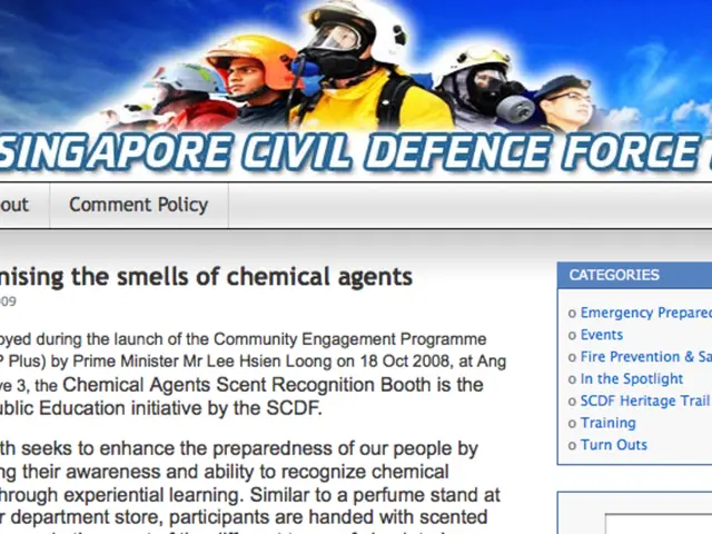 Models for Decision Making in Recommender Systems: Emotional, Logical, and Attentive Approaches