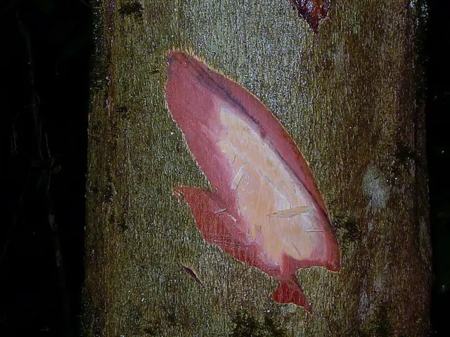 Heart Attack Extravaganza: Classifications and Origin Stories