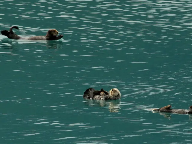 Harmful Animal Encounters in Natural Swimming Spots - Essential Knowledge for Swimmers