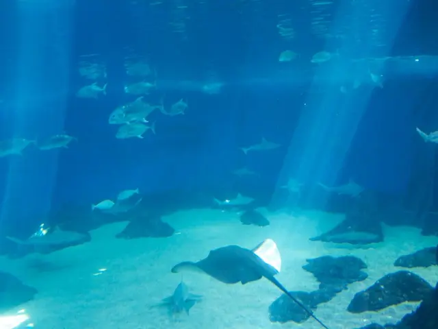 Ravenous Invaders Devoured Over 10 Million Fish Within a Few Hours