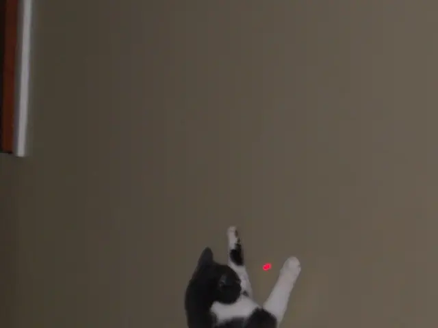 Neuropathic pain treatment with lasers: Varieties and efficacy