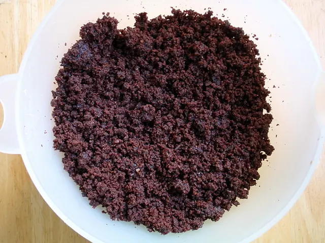 Interpreting Dreams Involving Feces: The Psychological Insights