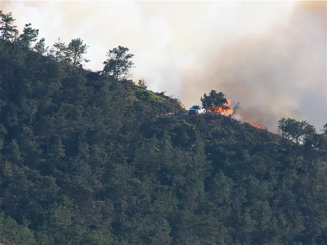 Smoky wildfires may contribute to mental health issues, research suggests