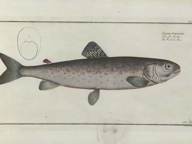 Developing a Fishbone Diagram for Medical Diagnosis