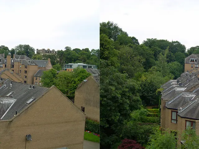 Strategies for Managing and Resolving Sibling Disputes