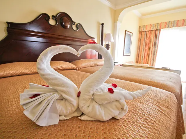 Which Allergy Remedy Yields the Best Results?