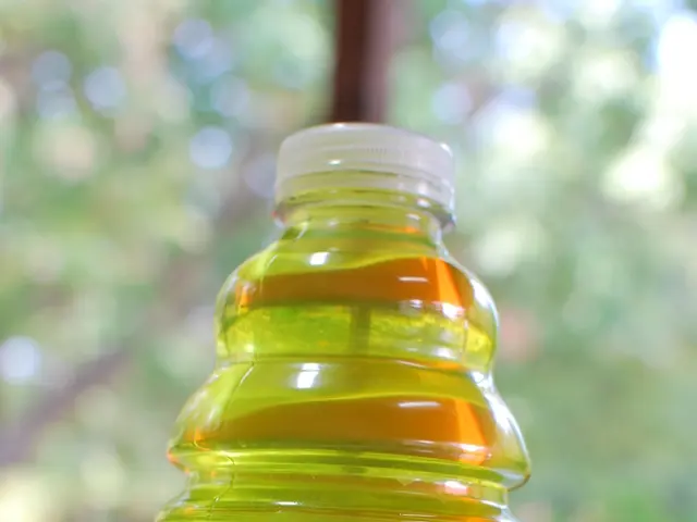 Methods for Preventing Energy Dips by Regulating Blood Sugar Levels