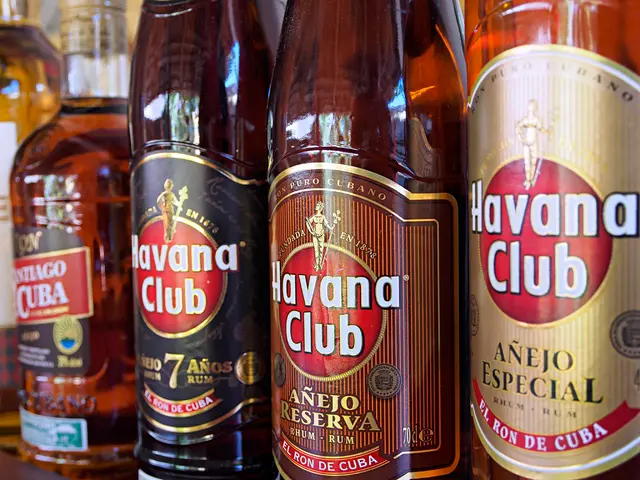 Engineered lungs with fully functional blood vessels edge closer to practical implementation