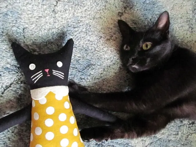 Stomach Discomfort When Lying Down: 5 Root Causes and Solutions