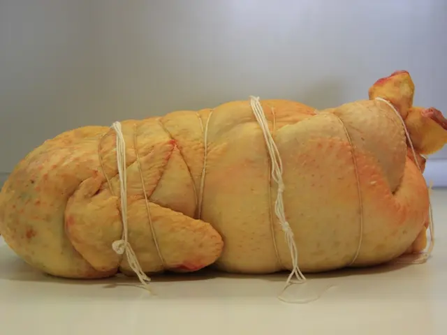 Malfunctioning Meat Grinder: Why It Affects Blood Vessels and Fast Solutions