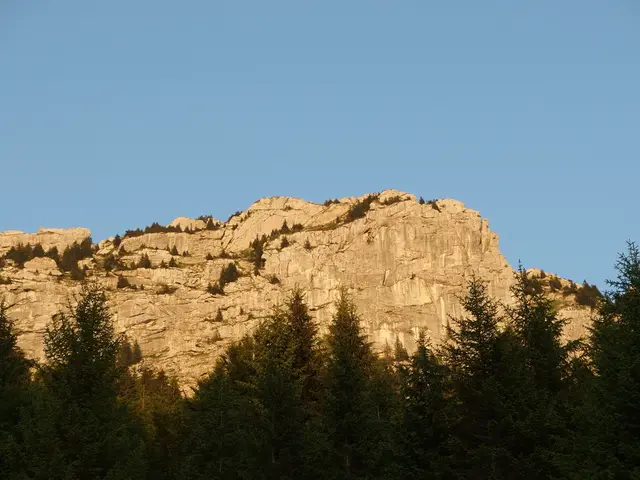 Researchers from IIT Mandi, India, are being hosted by IHRR for their ongoing work.