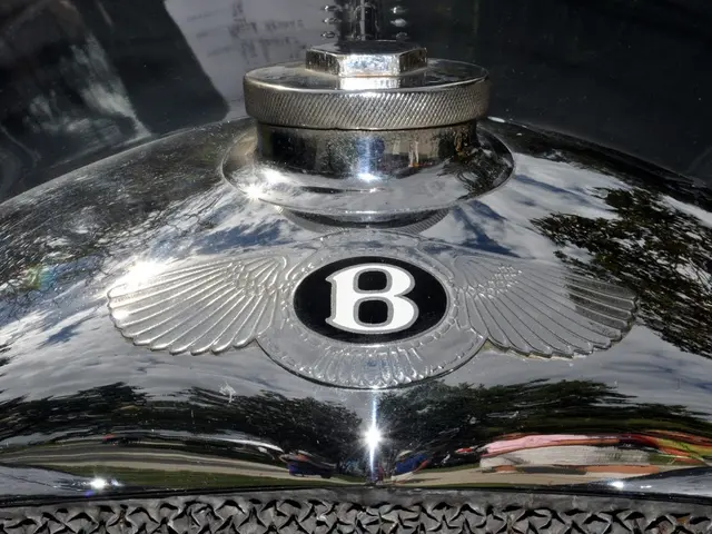 Treatments for Anemia: Aim, Choices, and Product Quantity