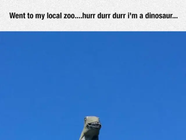 Exploration of Blue Jay Symbolism: Symbolic Interpretations, Messages, Mystical Significance, and...