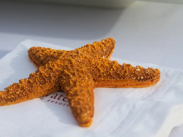 Inquisition into the Hue of Human Adipose Tissue