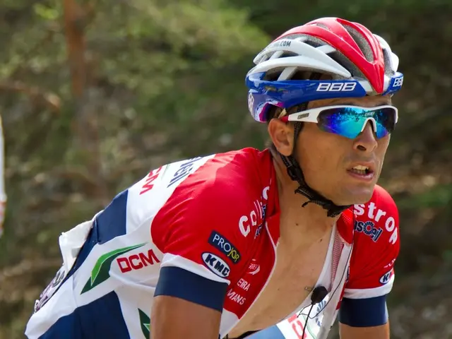 Allergic Reactions to Tree Pollen: Describing Varieties, Signs, Origins, Remedies