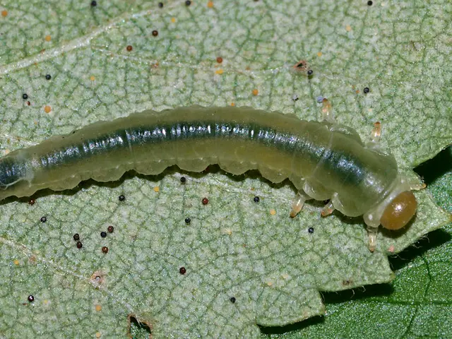 Understanding the Term "Dirt Neck" in Medical Context and Its Commonly Used Slang