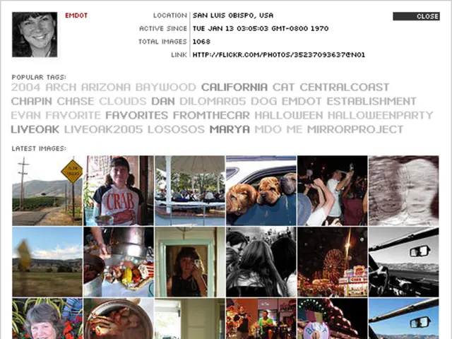 Unveiling the Brain's Unseen Areas Through Visual Representation of Data