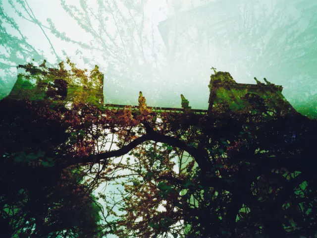 Workers will be safeguarded from hazards associated with ionizing radiation as the Commission has...