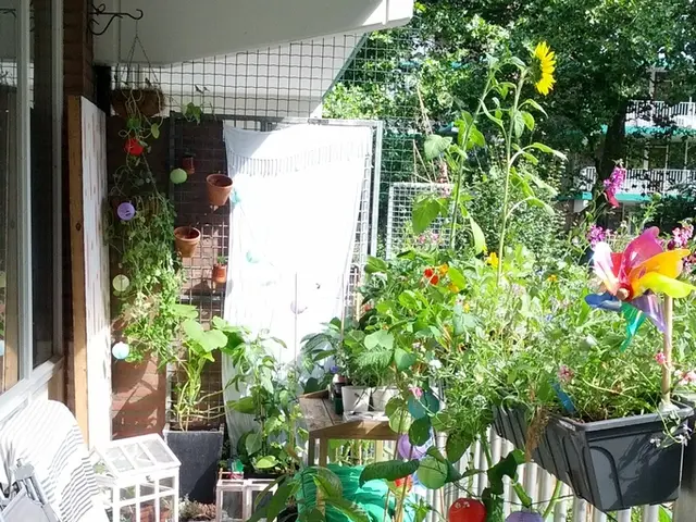 Fall Decor Ideas: Enhance Every Room in Your Home for the Cozy Season - 25 Strategies to Transform...