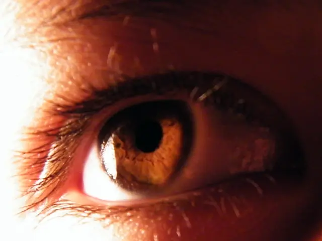 Applying Eye Cream: A Step-by-Step Guide