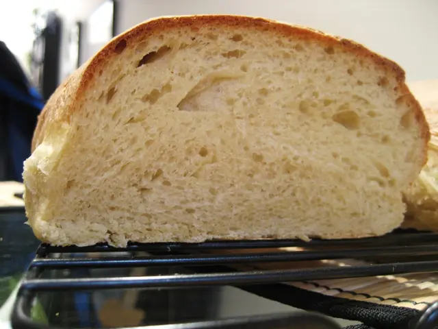 Sustaining Methods in the Production of Baking Equipment