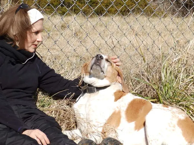 Woman experienced anaphylactic shock following hornet assault