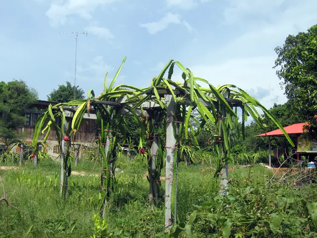 Over 30,000 individuals have sought help at the "Januya" facility in Astana since the start of the...